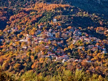 ΕΟΡΤΗ ΚΑΣΤΑΝΟΥ ΣΤΗΝ ΟΡΕΙΝΗ ΑΡΚΑΔΙΑ // ΑΝΩ ΔΟΛΙΑΝΑ