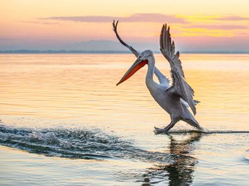 ΘΕΣΣΑΛΟΝΙΚΗ - ΛΙΜΝΗ ΚΕΡΚΙΝΗΣ