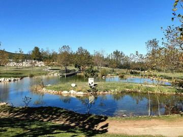 ΛΙΜΝΗ ΜΟΥΣΩΝ - ΚΑΤΑΡΡΑΚΤΕΣ ΠΕΤΡΑΣ - ΑΛΙΑΡΤΟΣ - ΕΥΑΓΓΕΛΙΣΤΡΙΑ